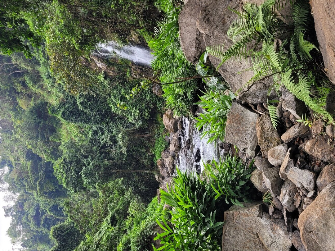 Mountain’s Hug主图