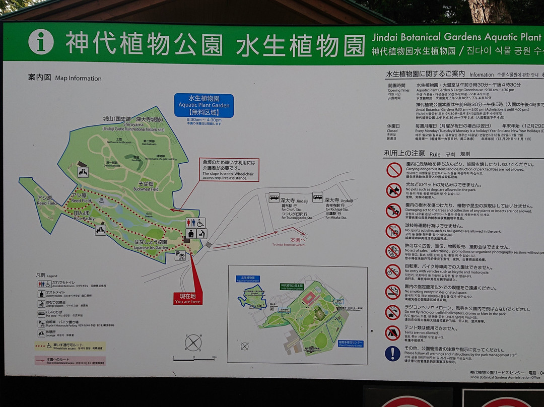 Jindai Aquatic Botanical Garden-调布市必去景点