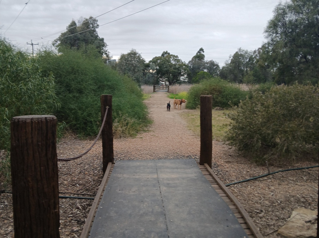 Goondiwindi Botanic Gardens of the Western Woodlands景点图片