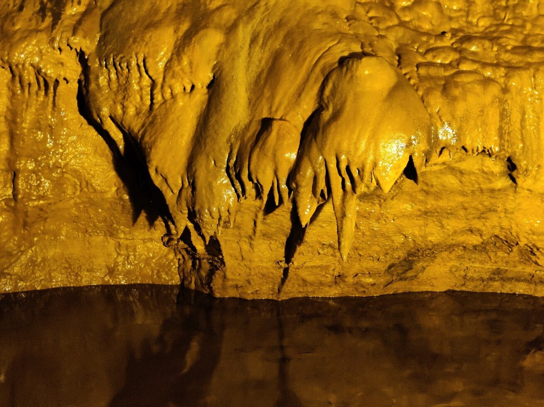 The National Showcaves Centre for Wales景点图片