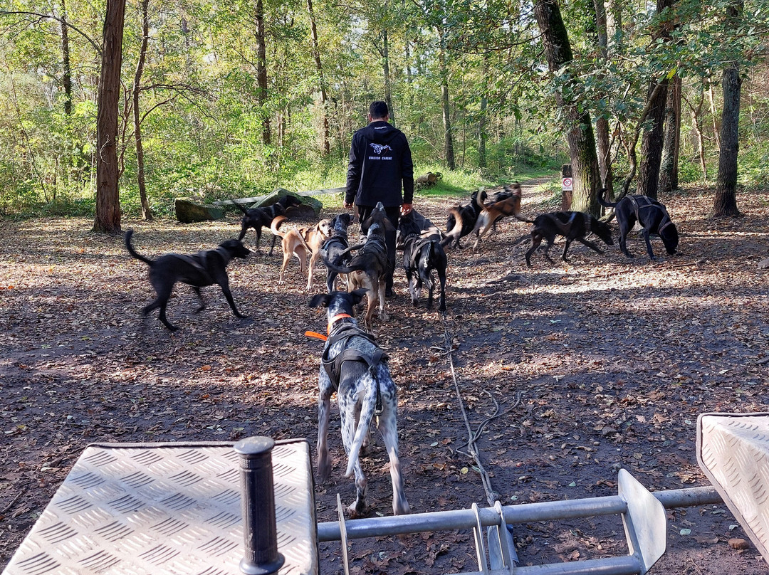 Evasion Canine景点图片