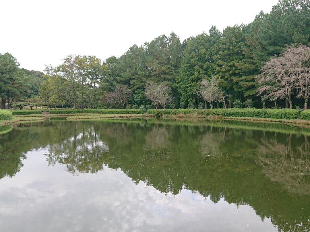 Hatoyamamachi Noson Park-鸠山町必去景点