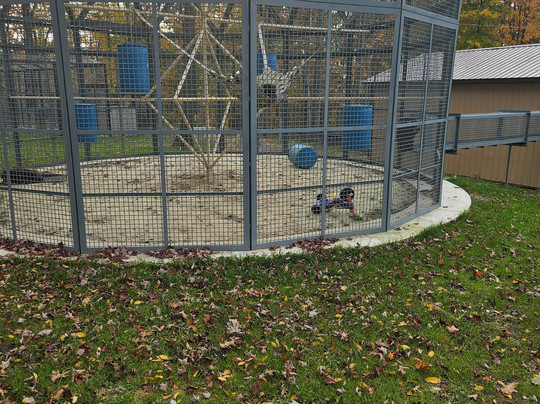 Hovatter's Wildlife Zoo-Kingwood必去景点