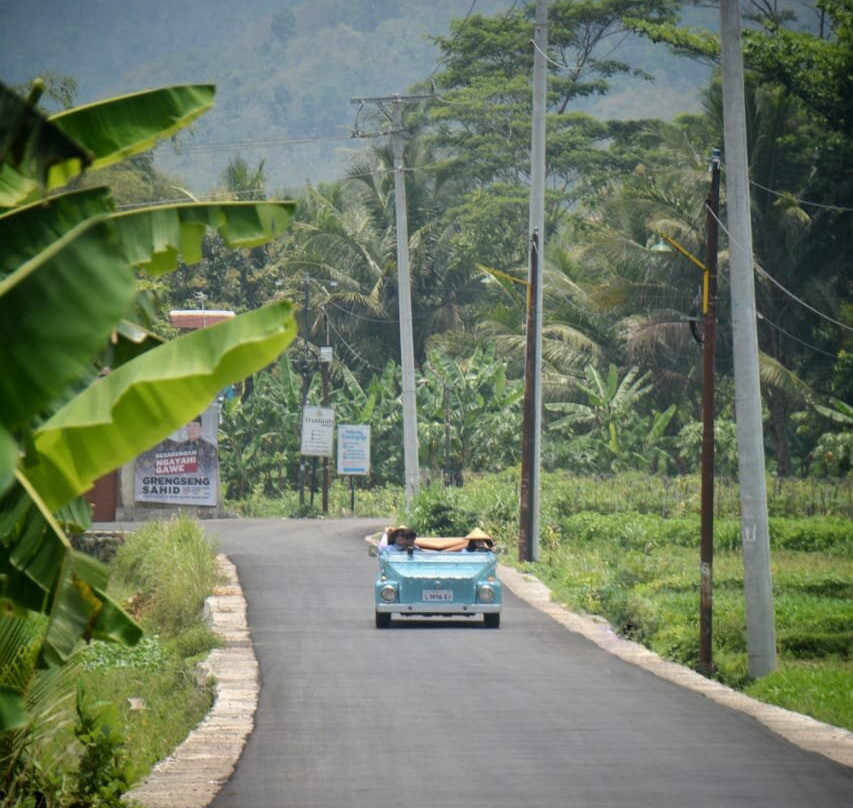 Java Bali Trips Borobudur景点图片