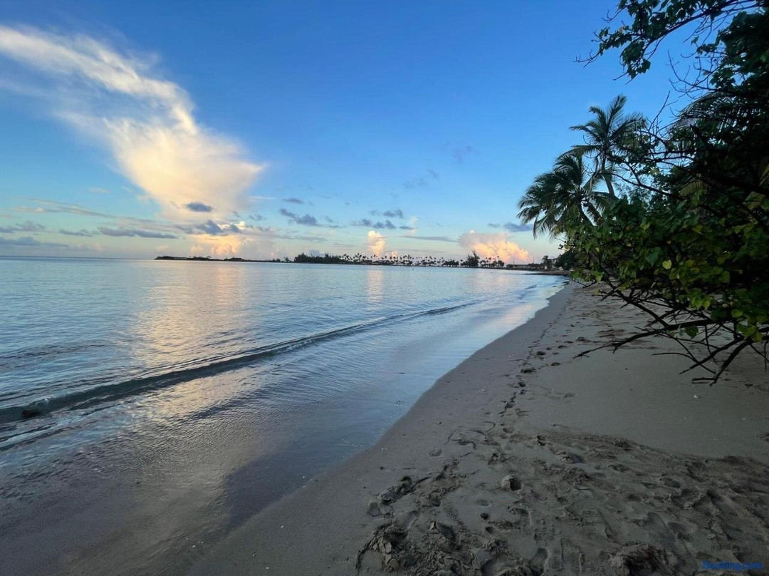 Aqua By Dreams Hotel主图