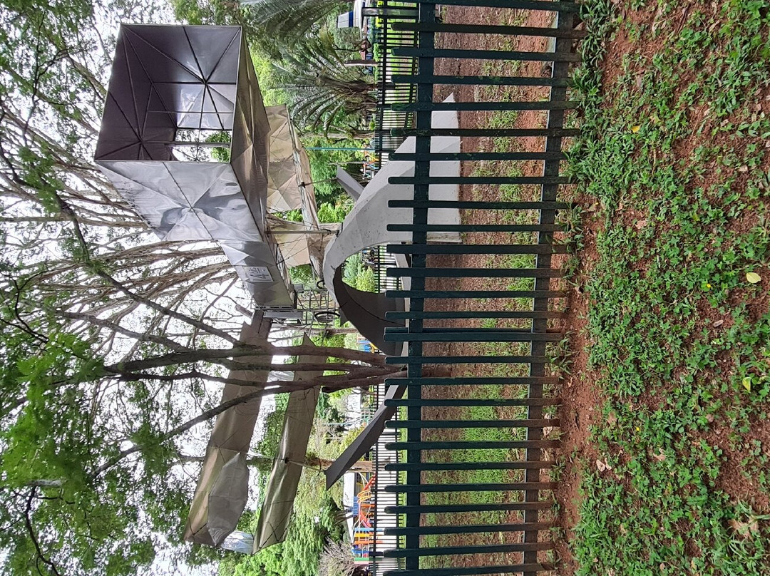 Parque Santos Dumont景点图片