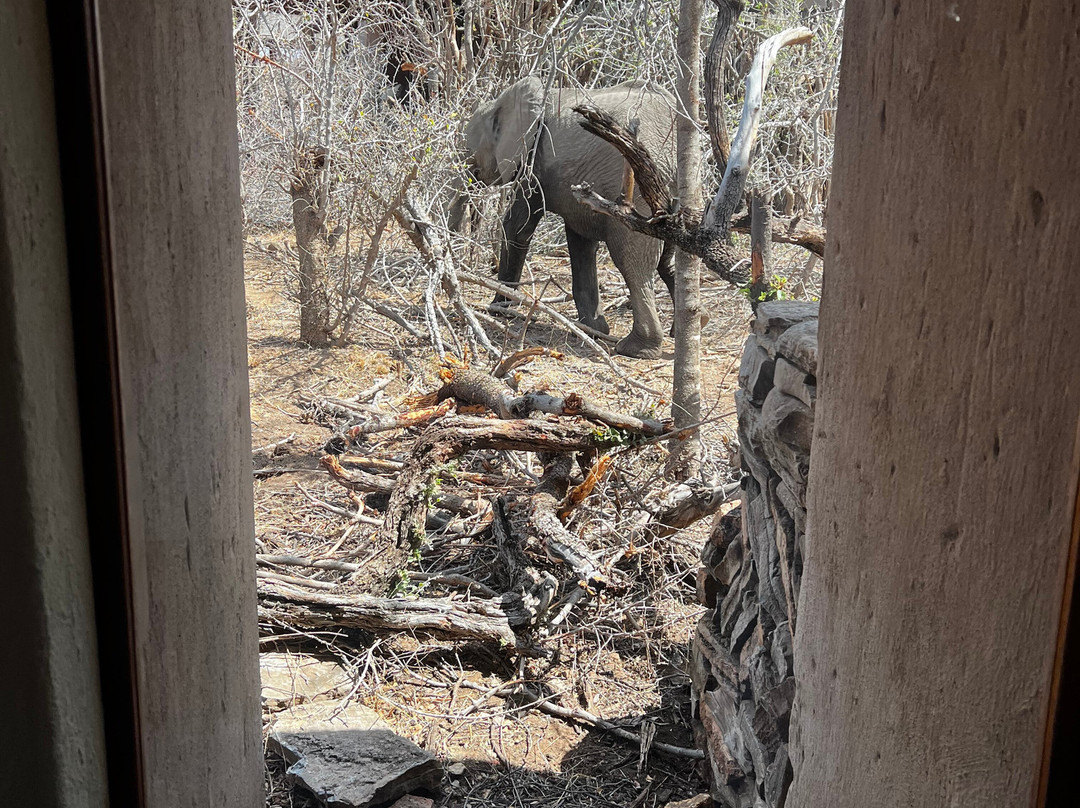 因博迪莫游戏小屋主图