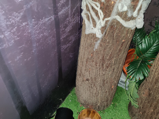 Escape Time Prasad's Imax-海德拉巴必去景点