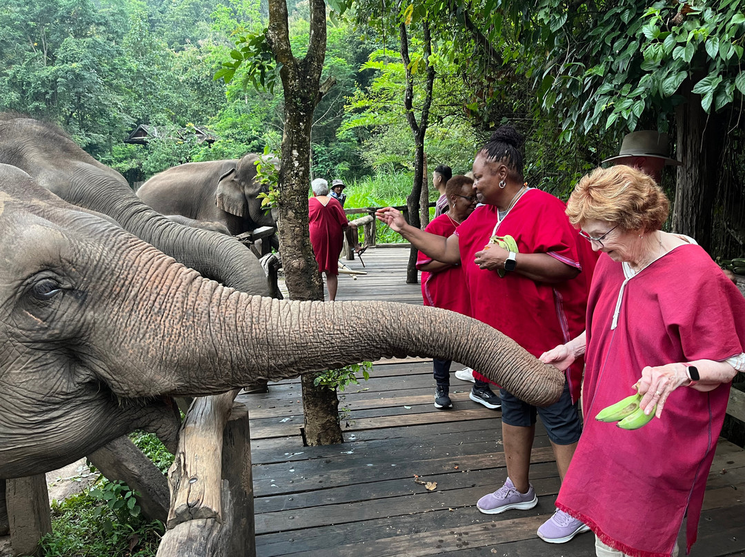 Elephant EcoValley-夜登必去景点