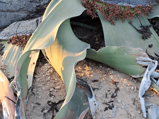 Sunflight Travel Agency-塞萨洛尼基必去景点