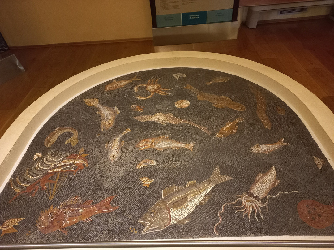 Museo archeologico del Territorio di Populonia景点图片