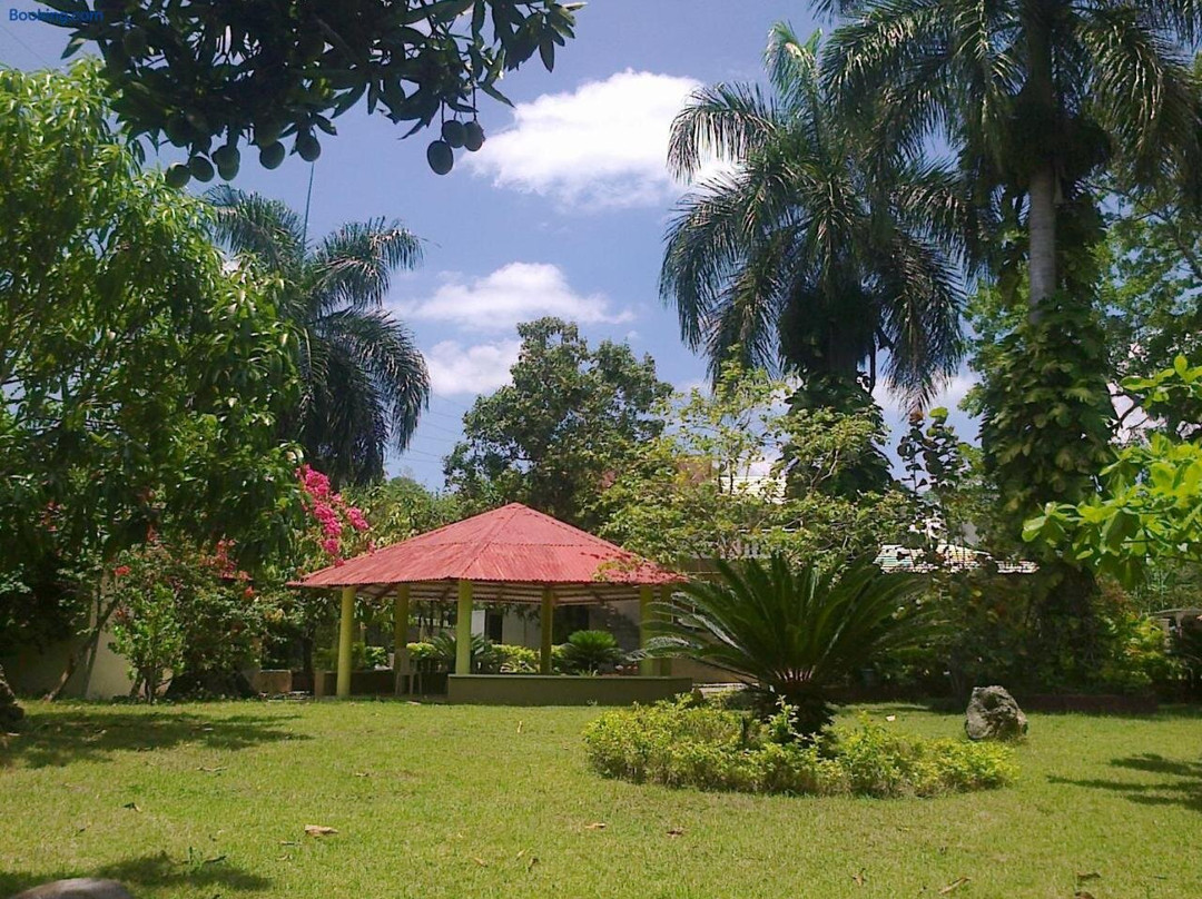 Casa Hochy