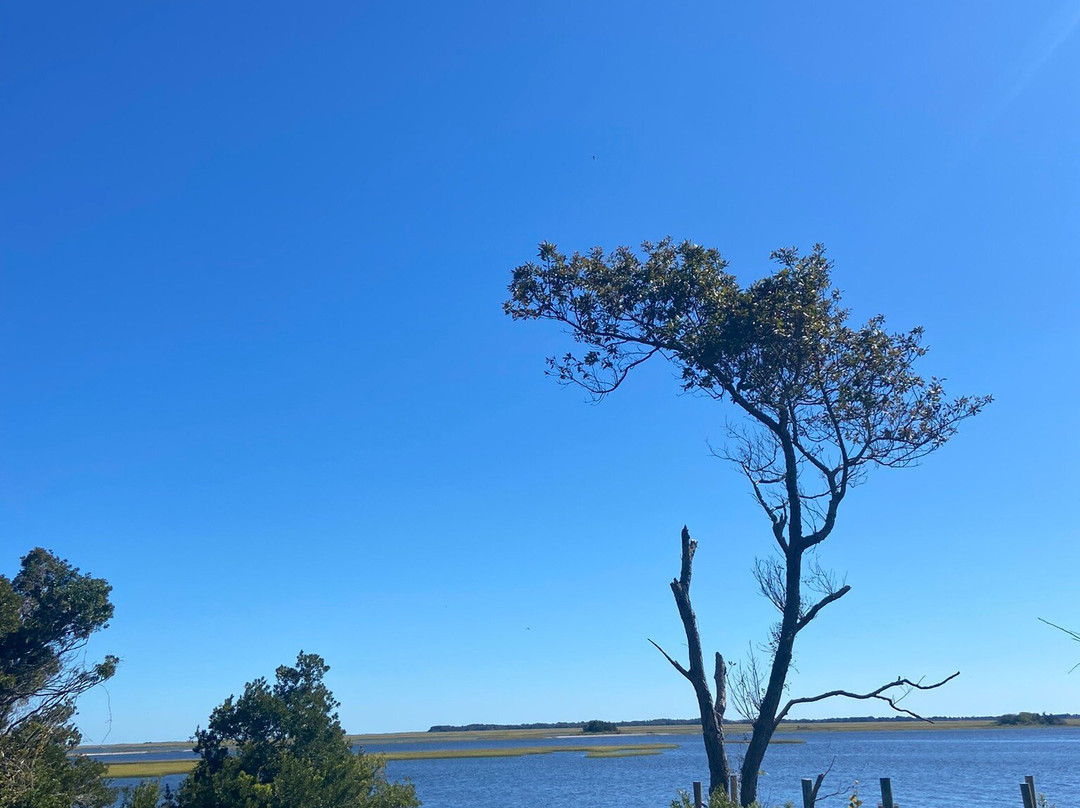Hammocks Beach State Park景点图片