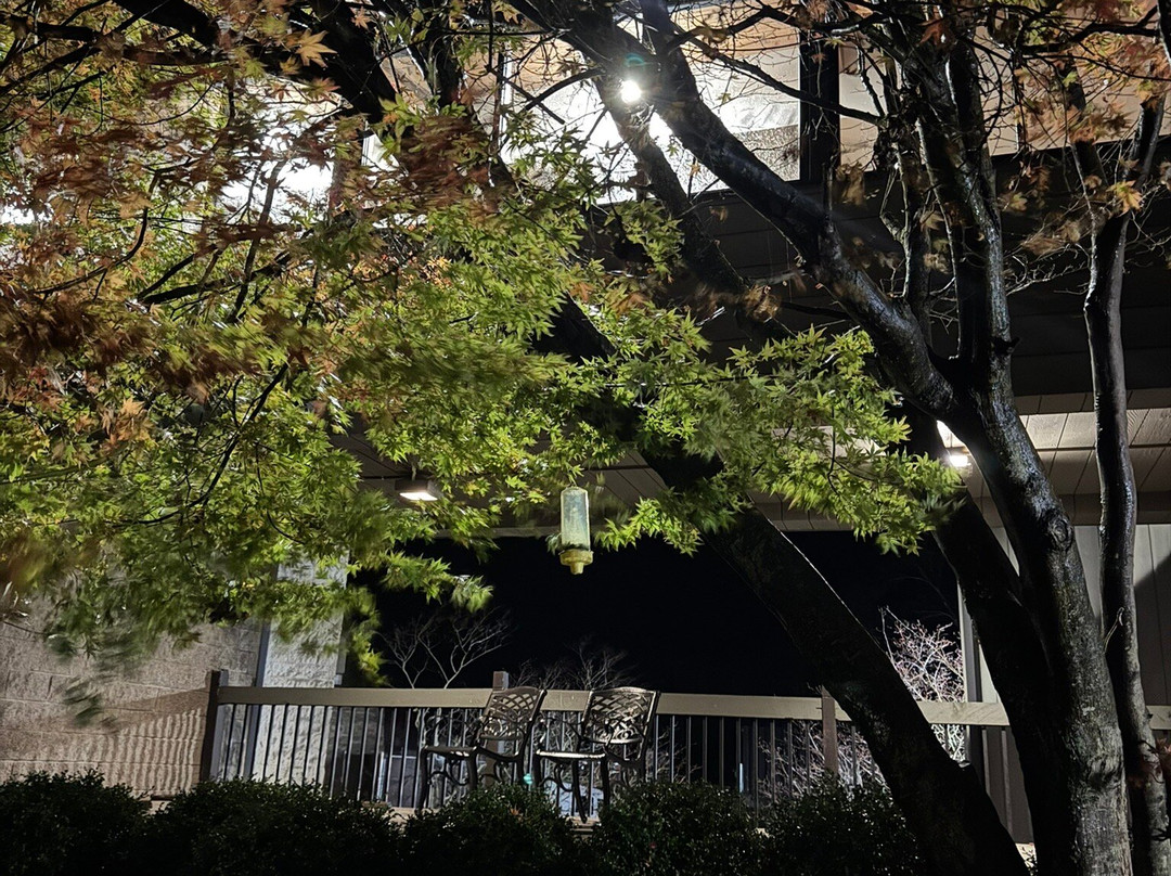 Salt Fork Lodge and Conference Center主图