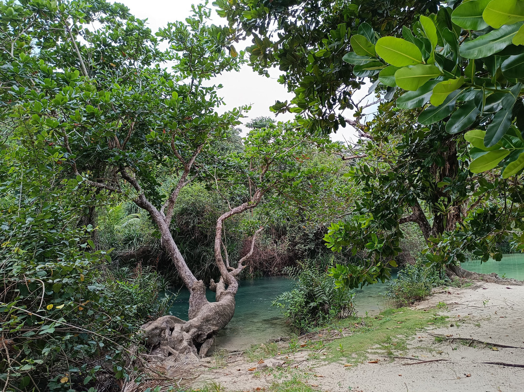 Polish Princess Guest House主图