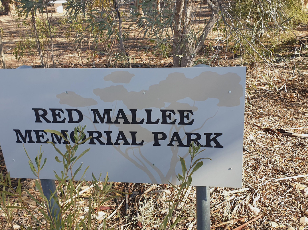 Leigh Creek War Memorial景点图片