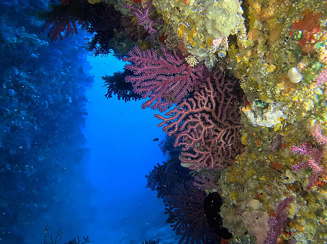 Centro de Buceo Burbujas-Ceuta必去景点