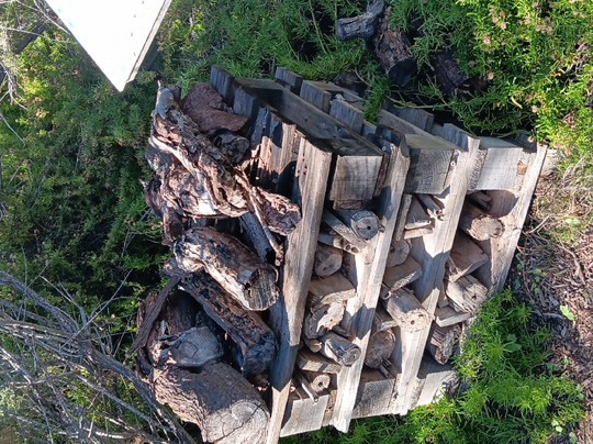 Għadira Nature Reserve-梅雷赫必去景点