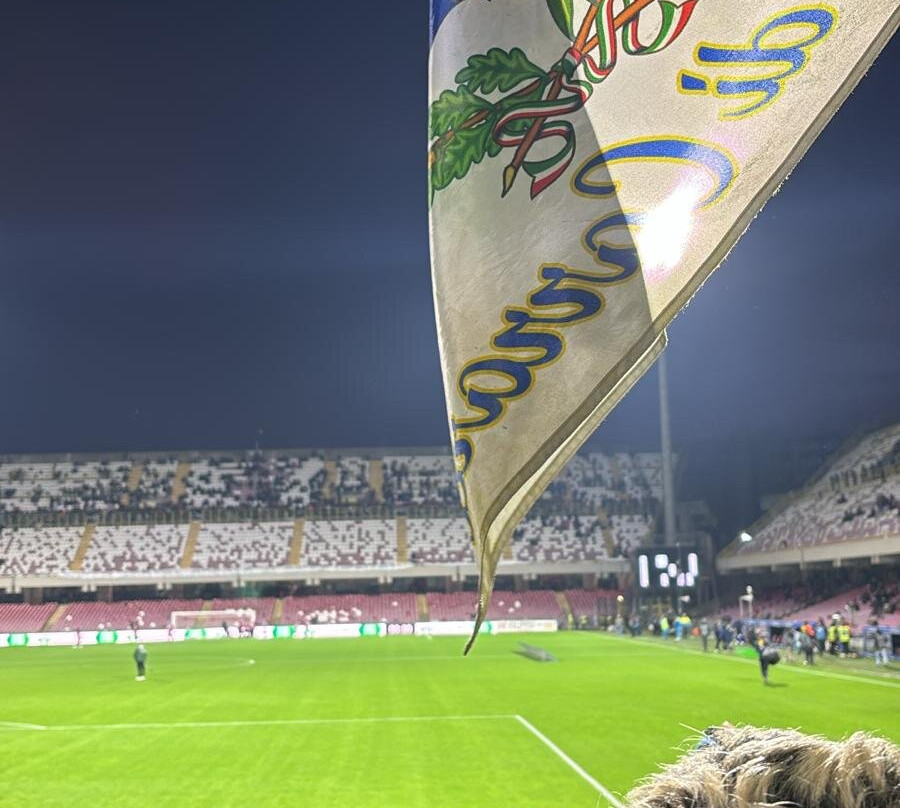Stadio Arechi-萨勒诺必去景点