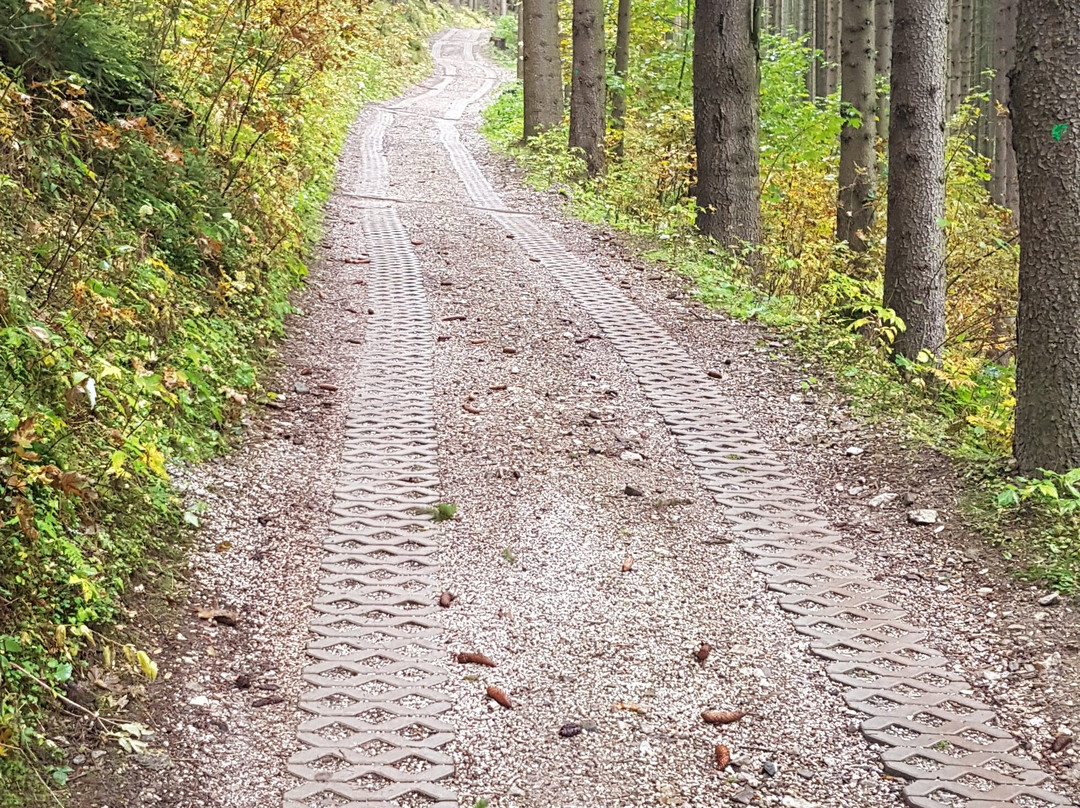 奥尔里克小屋酒店主图