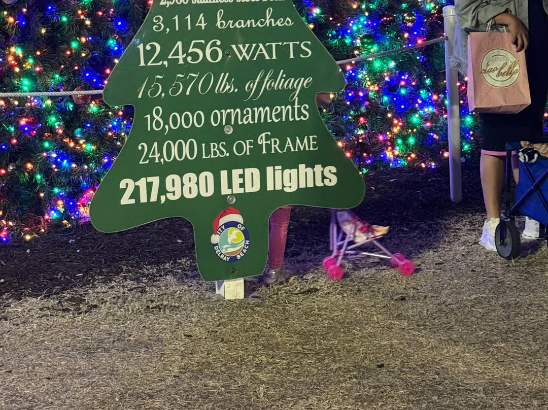 Delray Public Beach-德拉海滩必去景点