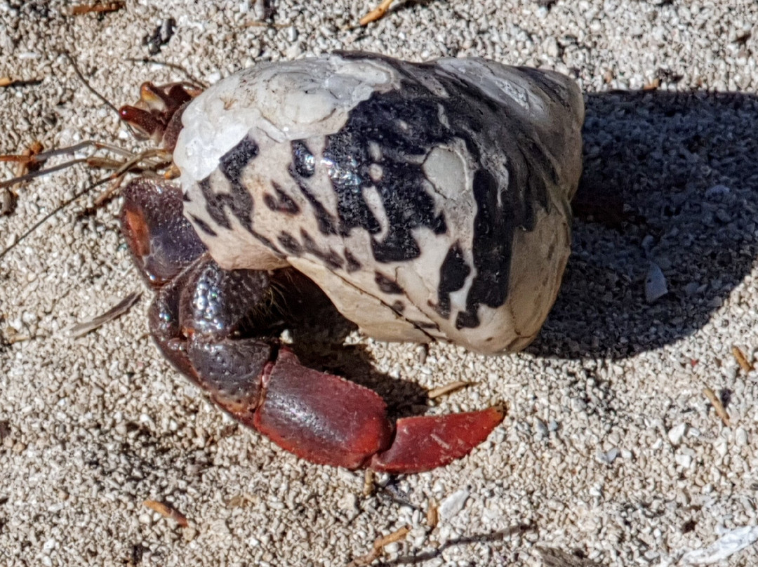 Cayo Blanco景点图片