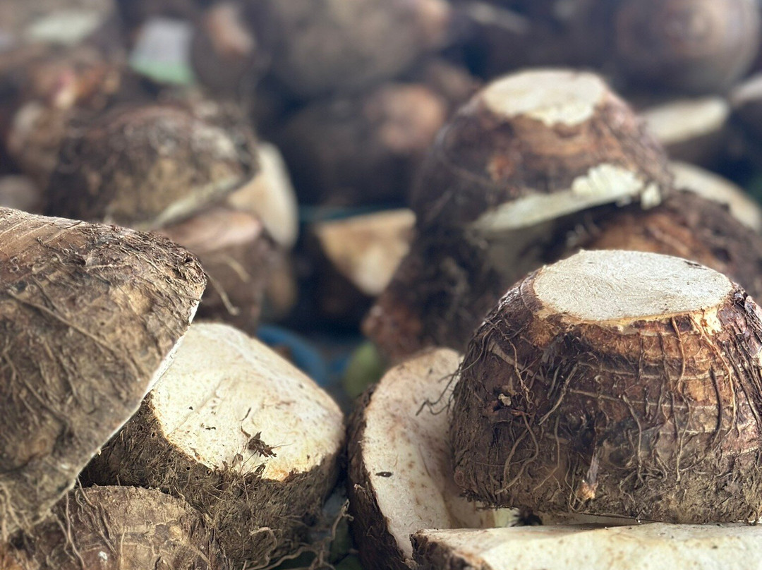 Nadi Produce Markets-纳迪市必去景点