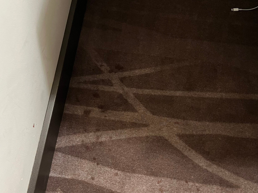 Hilton Garden Inn Zurich Limmattal主图
