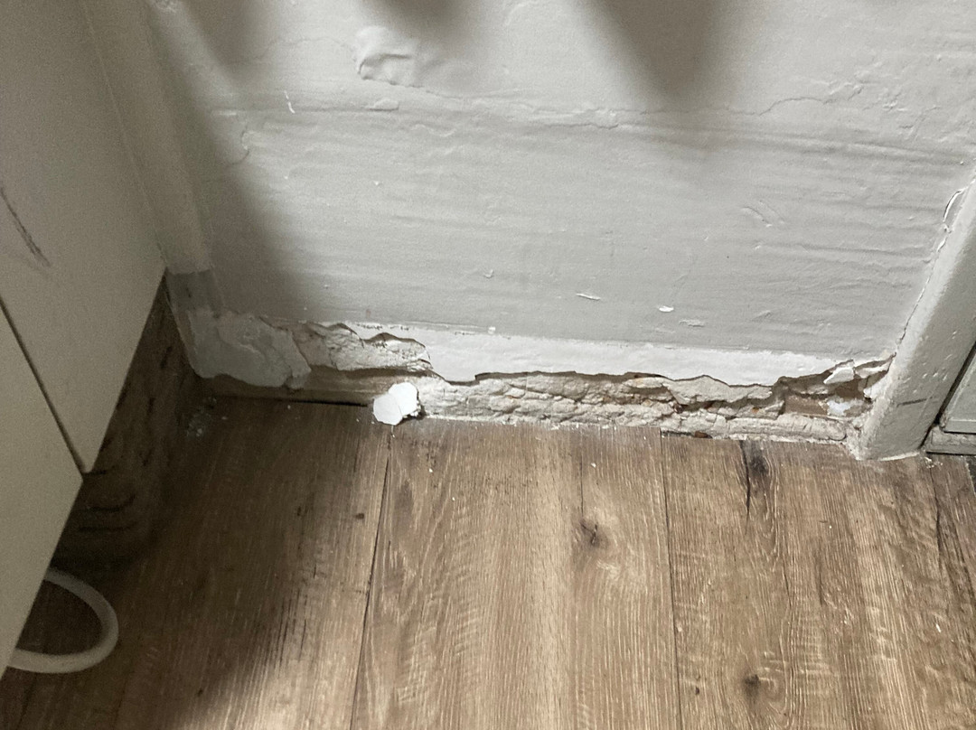 Red Roof Inn Buffalo - Hamburg/ I-90主图