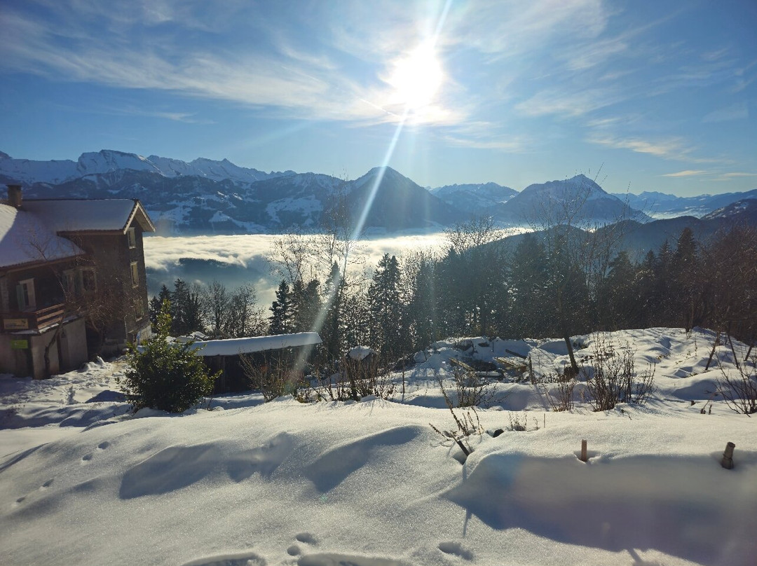 Vitznau-Rigi Kulm cogwheel railway-菲茨瑙必去景点