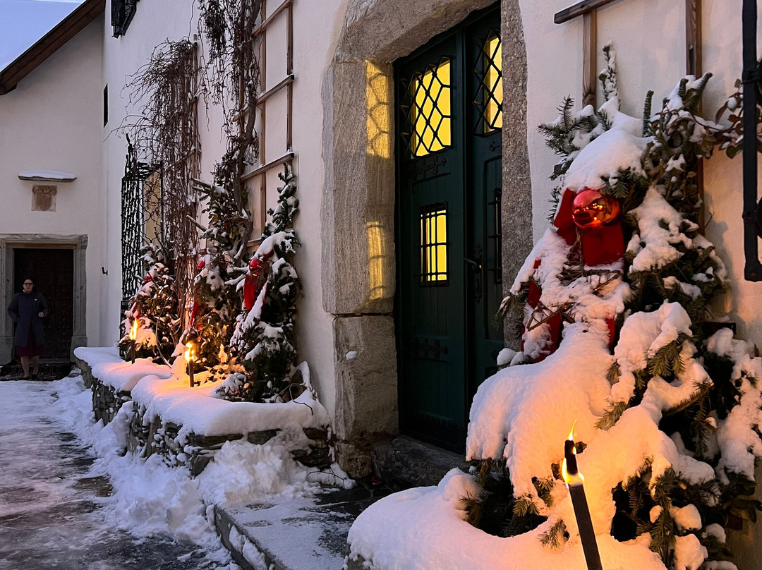 Schloss Mittersill主图