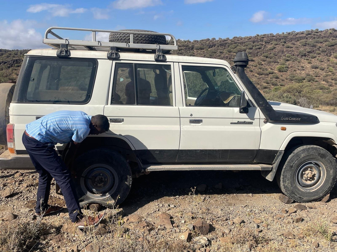 Day Forest National Park-吉布地必去景点