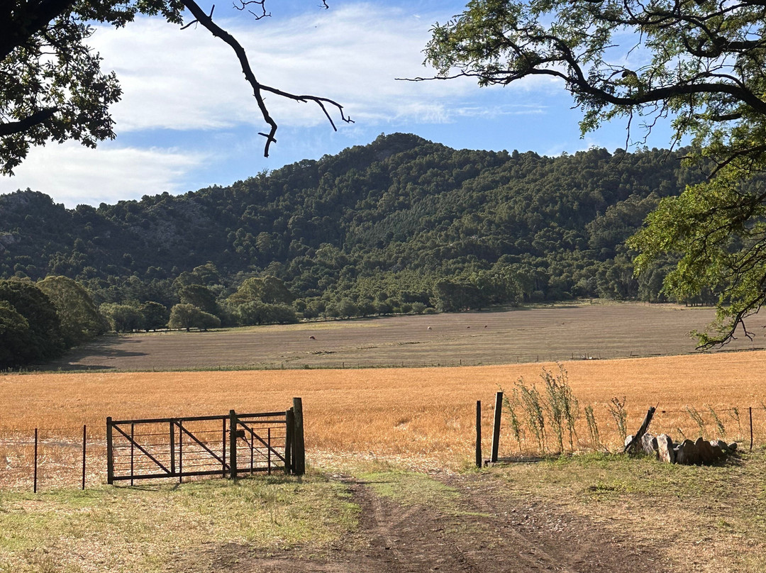 Estancia Mahuida Co景点图片