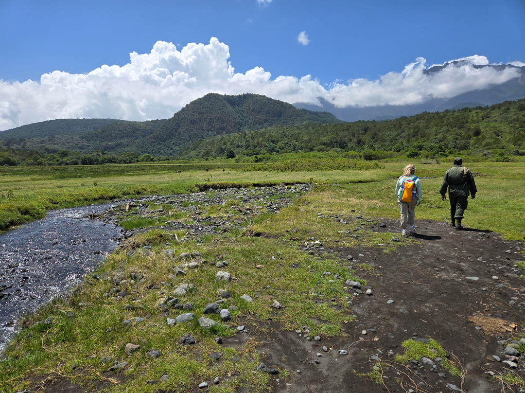 Nungunungu-姆贝亚必去景点