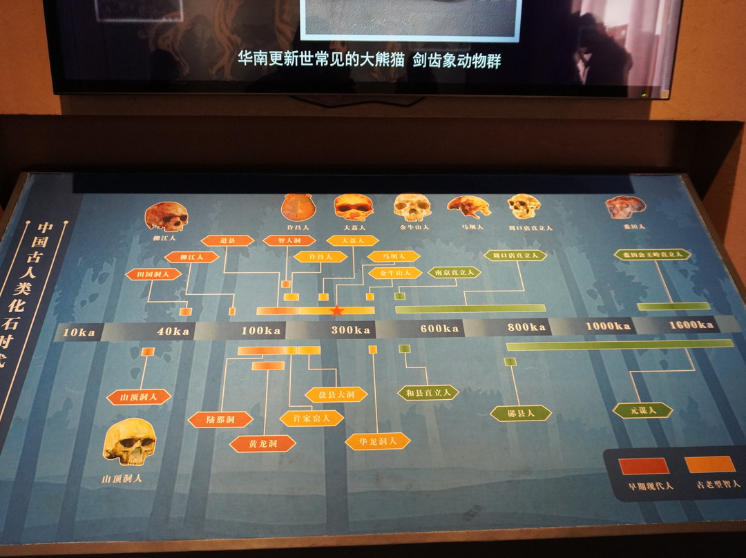 马坝人遗址-韶关市必去景点