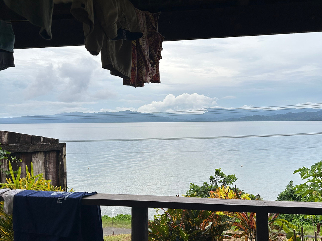 斐济壁虎山林小屋主图