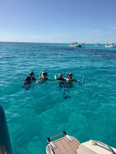 Wild Dolphin Tours-伊斯拉摩拉达必去景点