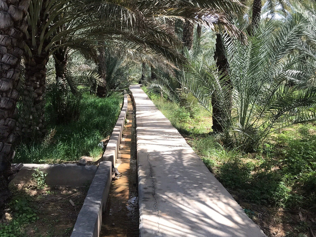 Al Hamra Old Town-Al Hamra必去景点