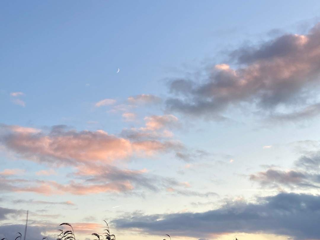 RSPB Leighton Moss Nature Reserve-Silverdale必去景点