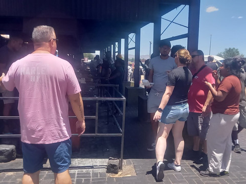 Kavana Tours Namibia-温德和克必去景点