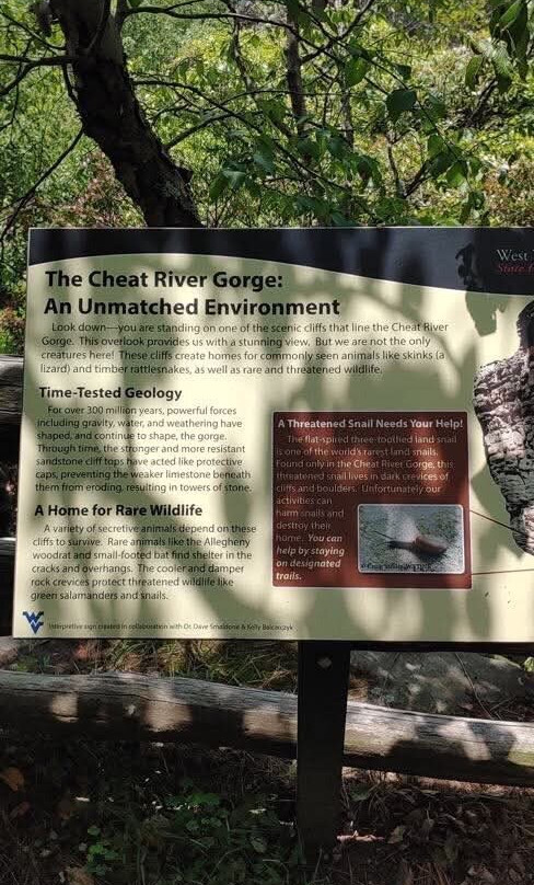 Coopers Rock State Forest景点图片