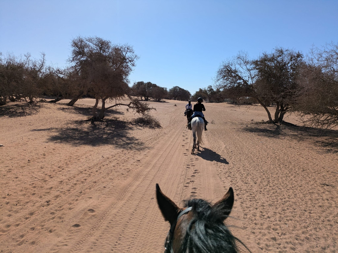 Cheval Agadir Ranch Acienda-奥瑞尔必去景点