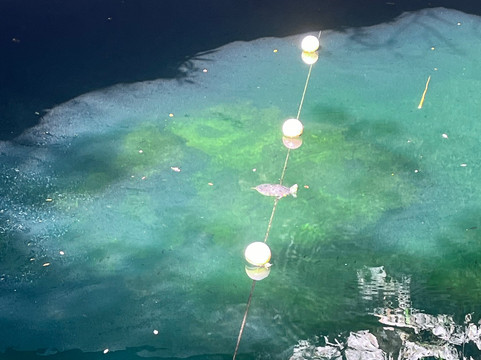 Mayan Horizon-图伦必去景点