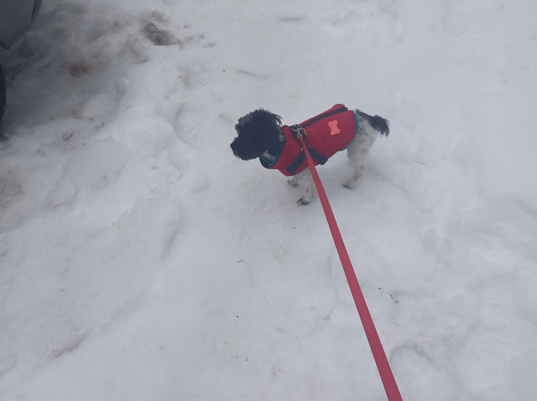 Cooper Spur Mountain Resort主图