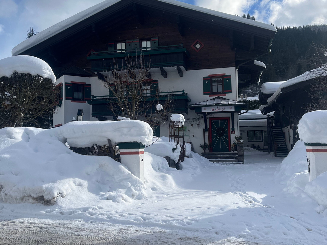 Landhotel Schafhuber主图