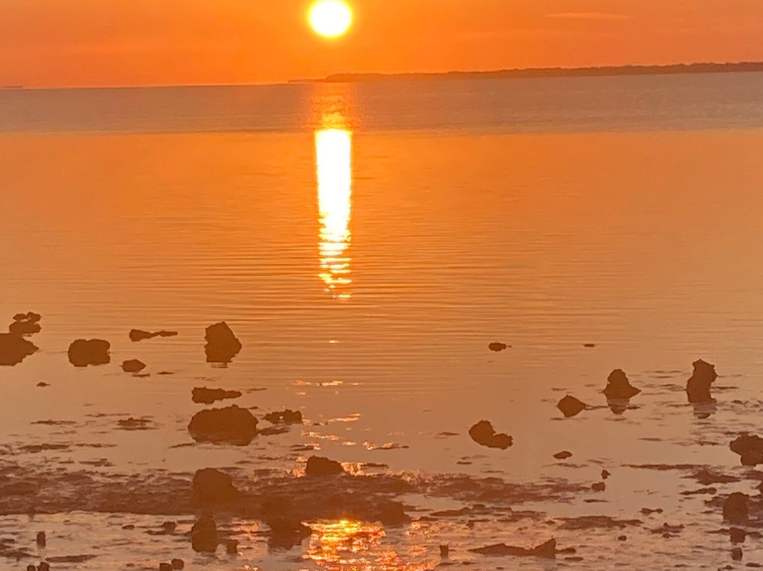 Flamingo-大沼泽国家公园必去景点