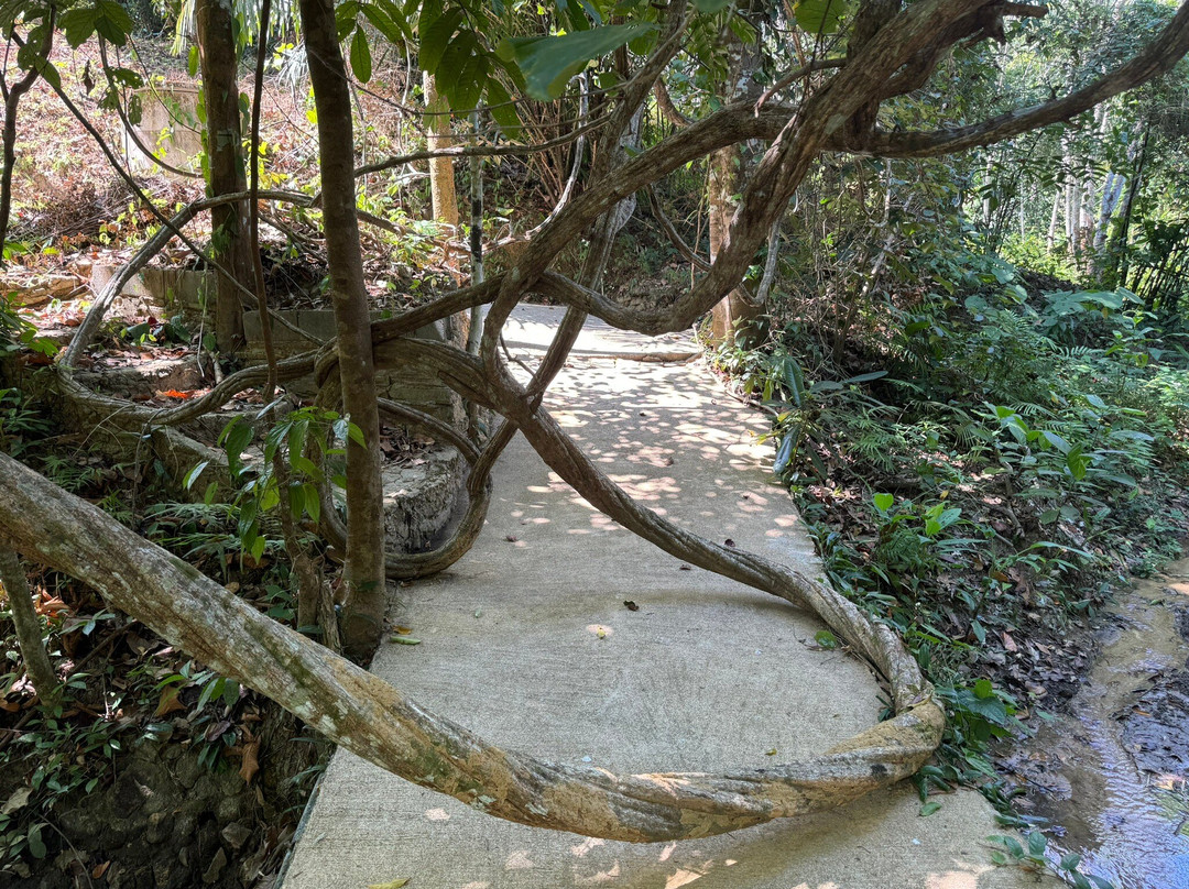 Baan Rai Me Rak Organic Farmstay