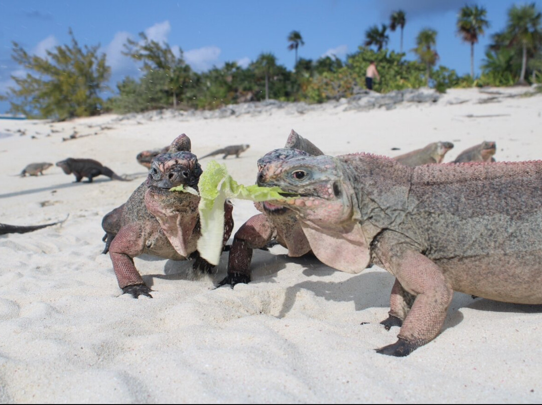 Triple A Adventures-大埃克苏马必去景点