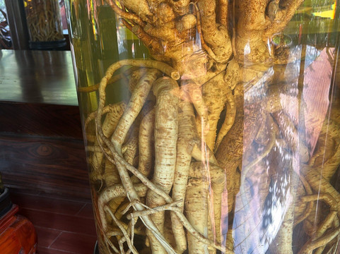 杰瑞丛林之旅-富国岛必去景点