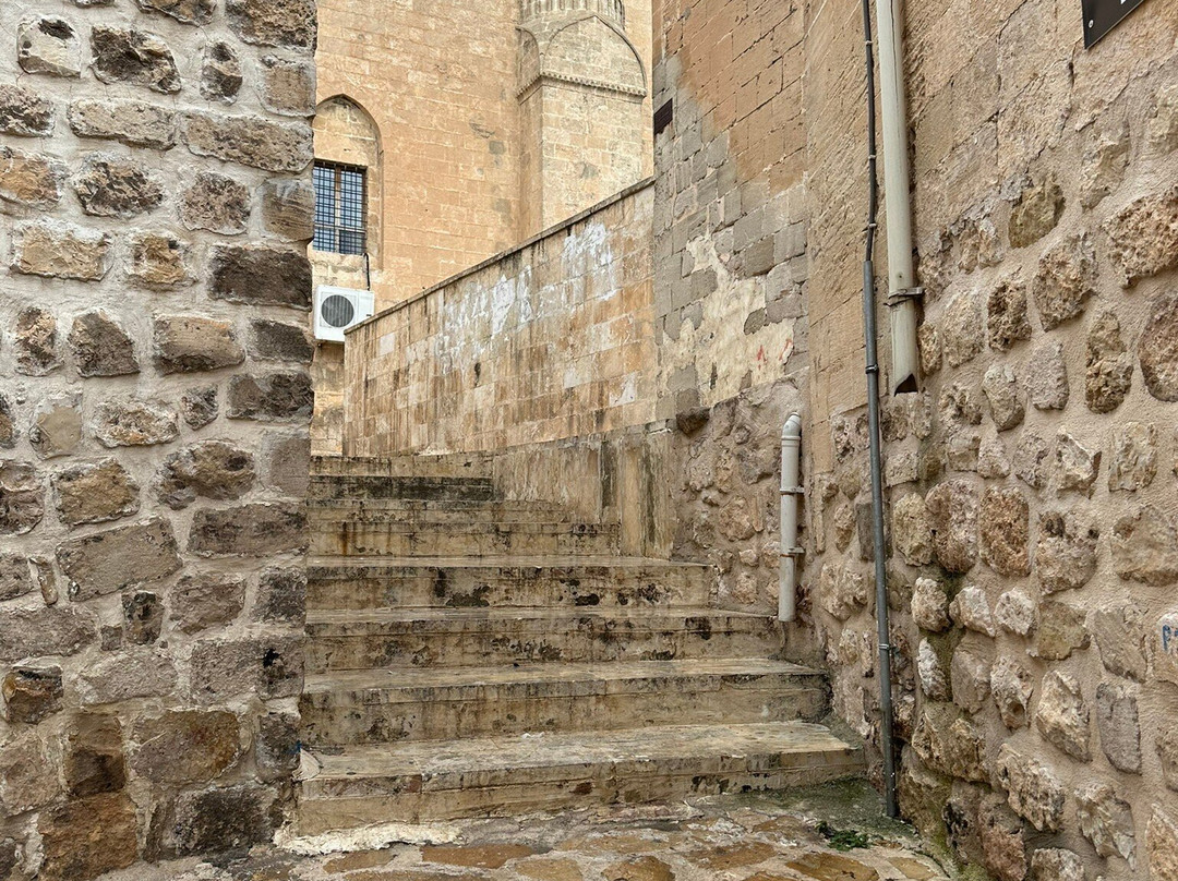 Mardius Tarihi Konak主图